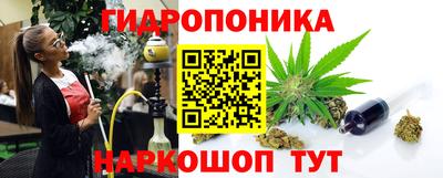 бошки Сланцы