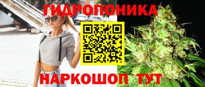 бошки Сланцы