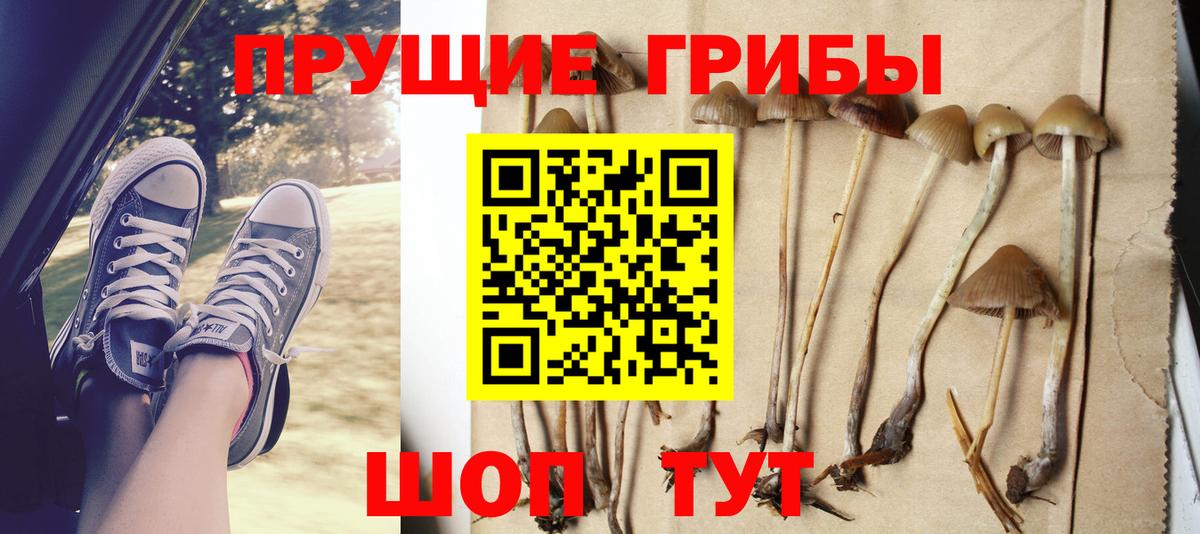 Галлюциногенные грибы ЛСД  где найти   Малоярославец  Вход с VPN 